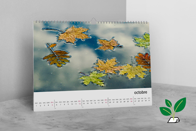 Kategoriebild der Kategorie “Natura-Wandkalender”