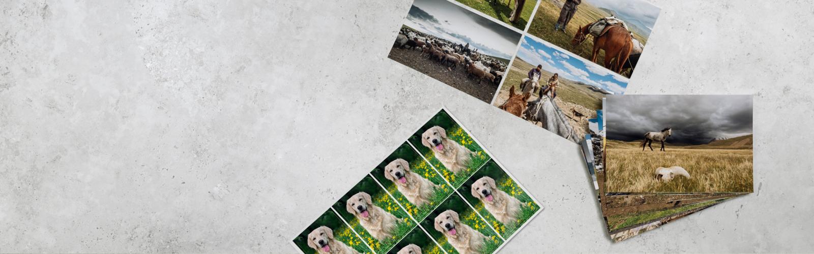 Kategoriebild der Kategorie “Standard-Fotoabzüge”