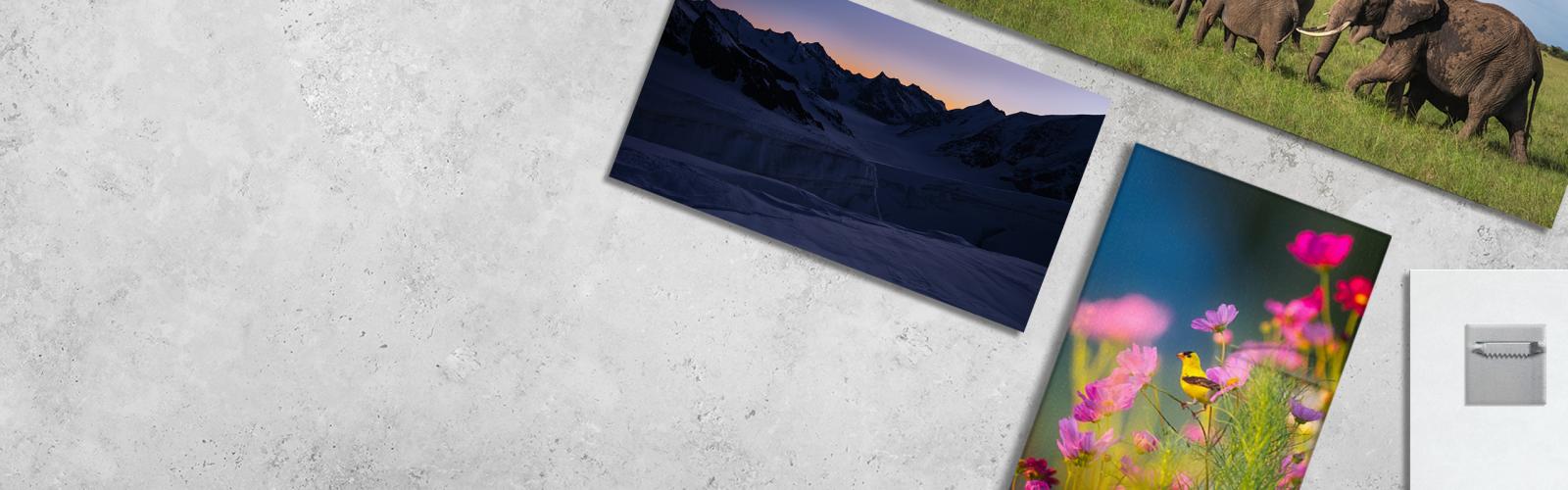 Kategoriebild der Kategorie “Wandbilder”