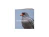 PRODUCT_GALLERY_IMAGE_ALT