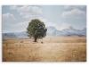 PRODUCT_GALLERY_IMAGE_ALT