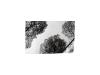 PRODUCT_GALLERY_IMAGE_ALT
