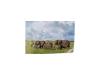 PRODUCT_GALLERY_IMAGE_ALT