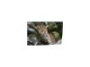 PRODUCT_GALLERY_IMAGE_ALT