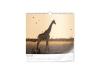 Artikelbild 1 des Artikels “Wandkalender Fotopapier 30 × 30 “