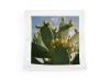 PRODUCT_GALLERY_IMAGE_ALT