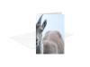 PRODUCT_GALLERY_IMAGE_ALT