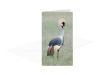 PRODUCT_GALLERY_IMAGE_ALT