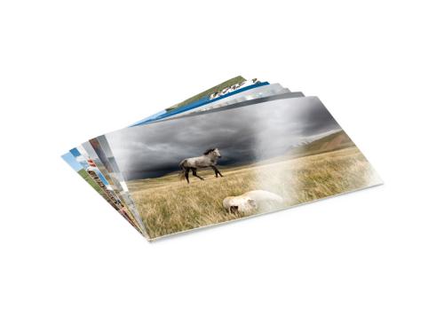 Artikelbild des Artikels “Foto 9 × 12  “