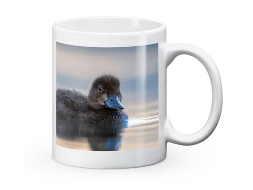 PRODUCT_SINGLE_IMAGE_ALT