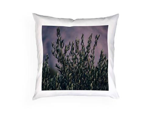 PRODUCT_SINGLE_IMAGE_ALT