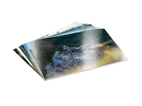 Artikelbild des Artikels “Foto 10 × 13 “