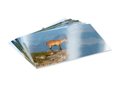 Artikelbild des Artikels “Foto 10 × 15 “