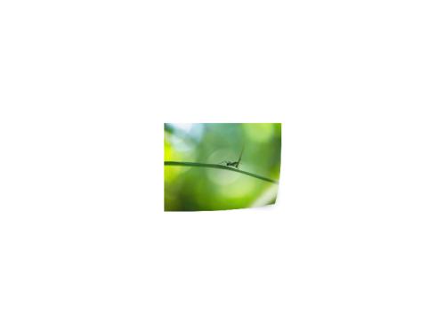 PRODUCT_SINGLE_IMAGE_ALT