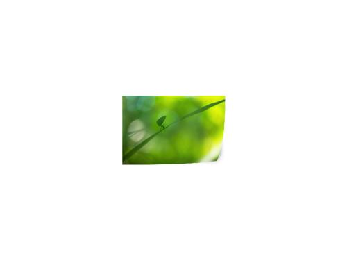 PRODUCT_SINGLE_IMAGE_ALT