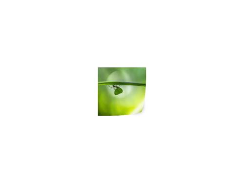 PRODUCT_SINGLE_IMAGE_ALT