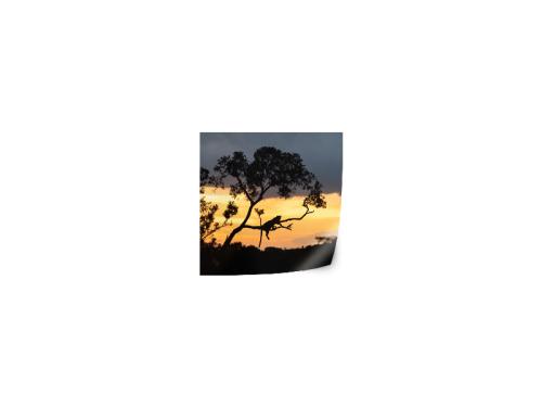 PRODUCT_SINGLE_IMAGE_ALT