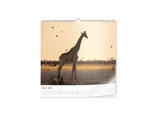 Artikelbild des Artikels “Wandkalender Fotopapier 30 × 30 “