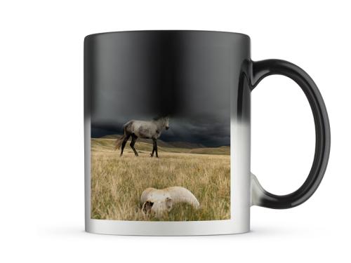PRODUCT_SINGLE_IMAGE_ALT