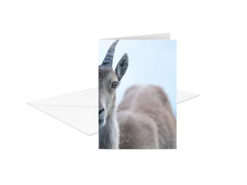 PRODUCT_SINGLE_IMAGE_ALT