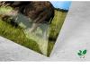 PRODUCT_GALLERY_IMAGE_ALT