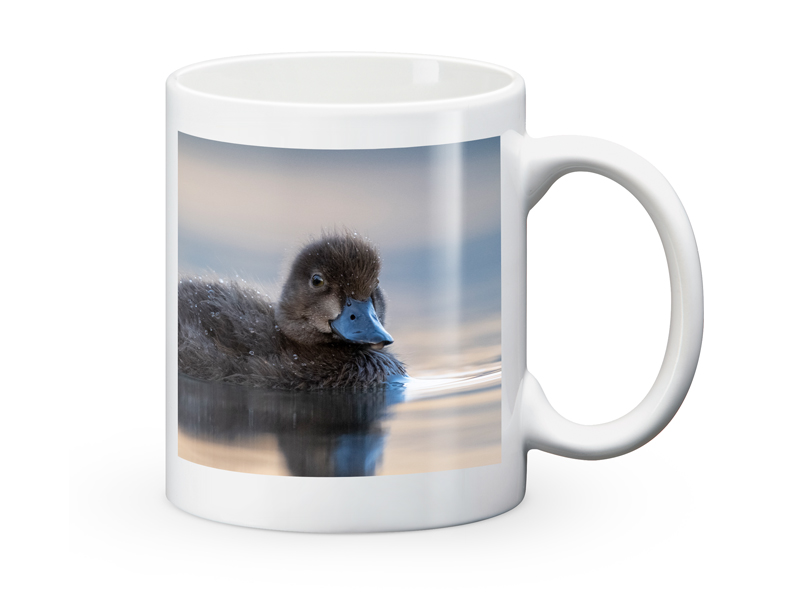 PRODUCT_GALLERY_IMAGE_ALT