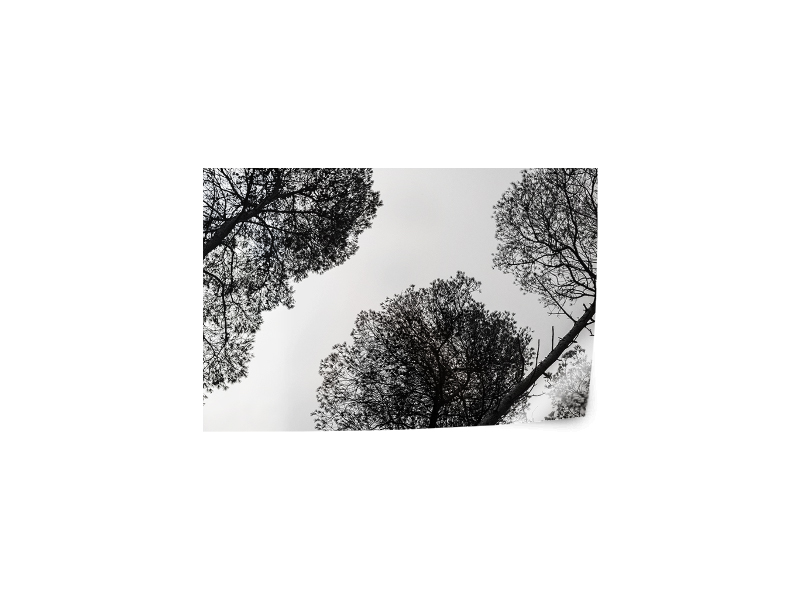 PRODUCT_GALLERY_IMAGE_ALT
