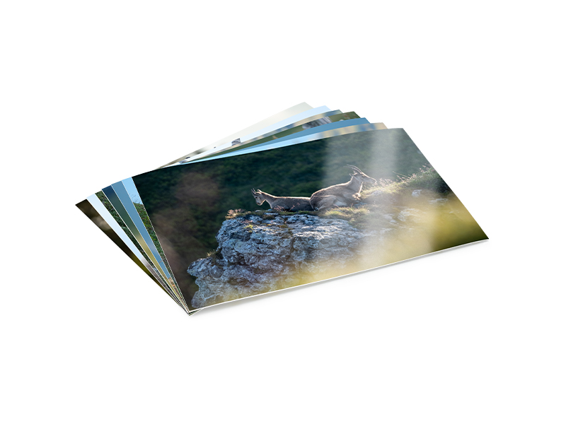PRODUCT_GALLERY_IMAGE_ALT