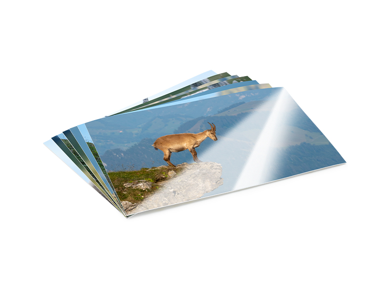 PRODUCT_GALLERY_IMAGE_ALT