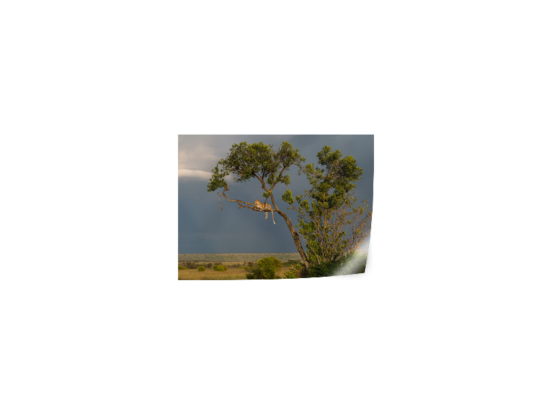 PRODUCT_GALLERY_IMAGE_ALT