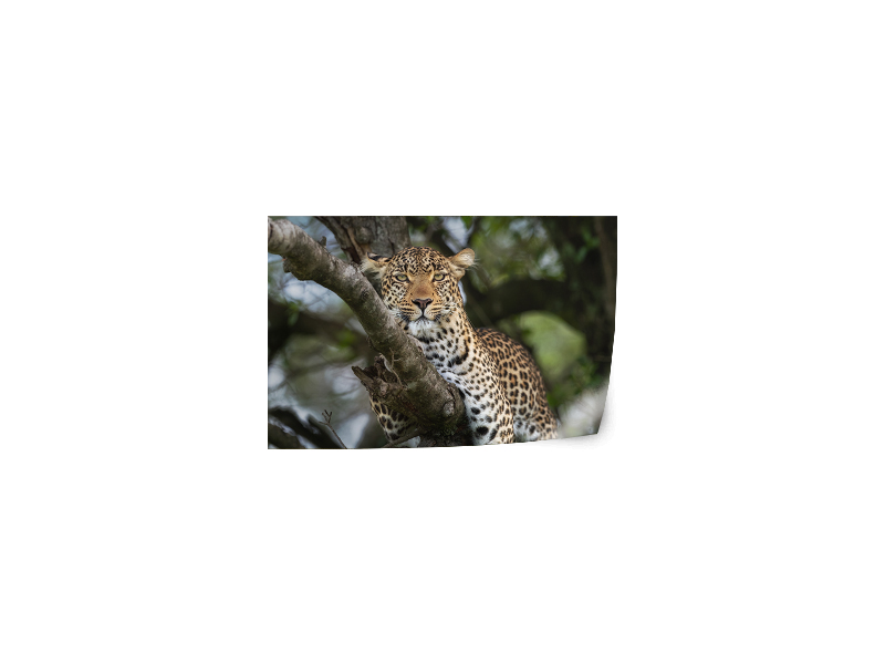 PRODUCT_GALLERY_IMAGE_ALT