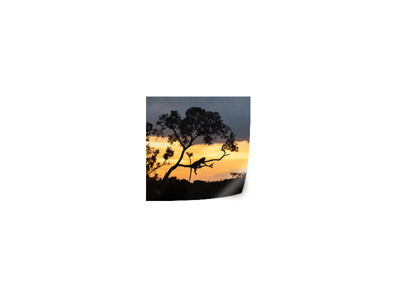PRODUCT_GALLERY_IMAGE_ALT