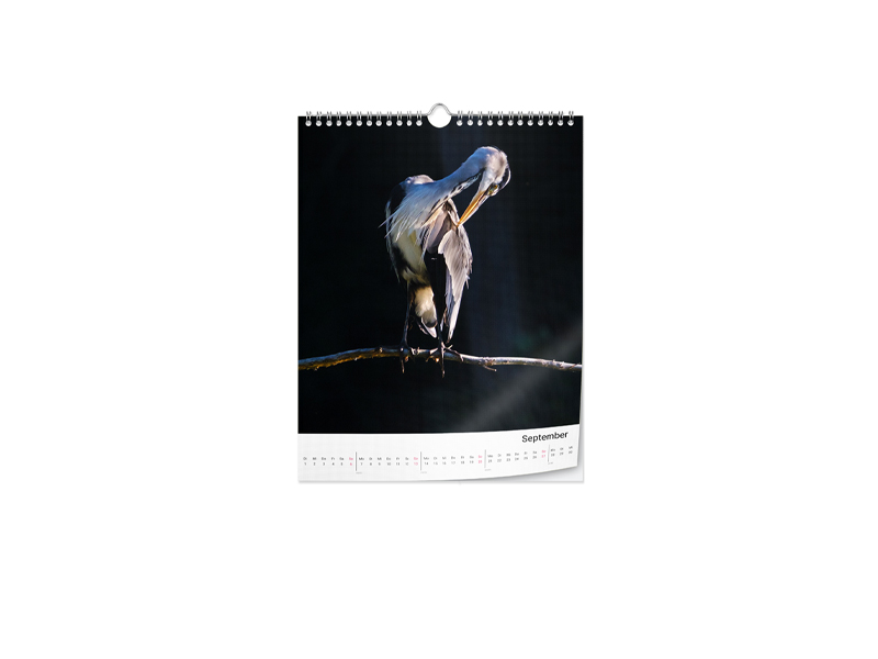 Artikelbild 1 des Artikels “Wandkalender Fotopapier A4 hoch “