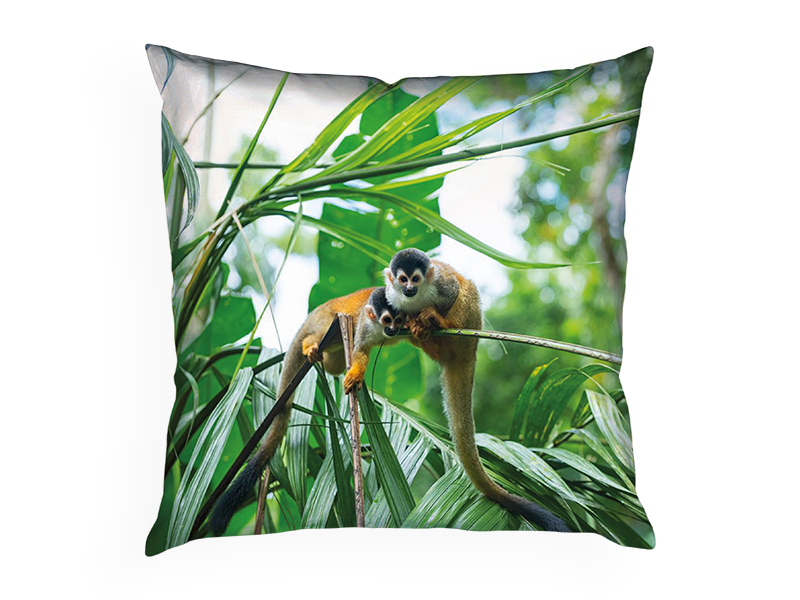 PRODUCT_GALLERY_IMAGE_ALT