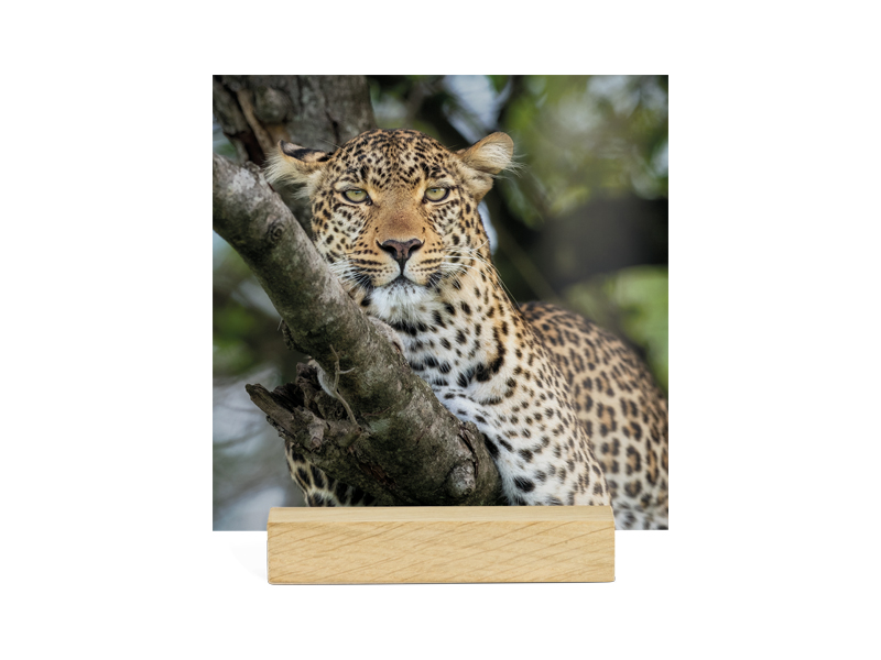PRODUCT_GALLERY_IMAGE_ALT