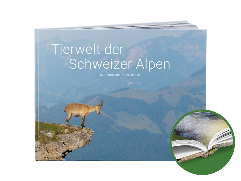 PRODUCT_GALLERY_IMAGE_ALT