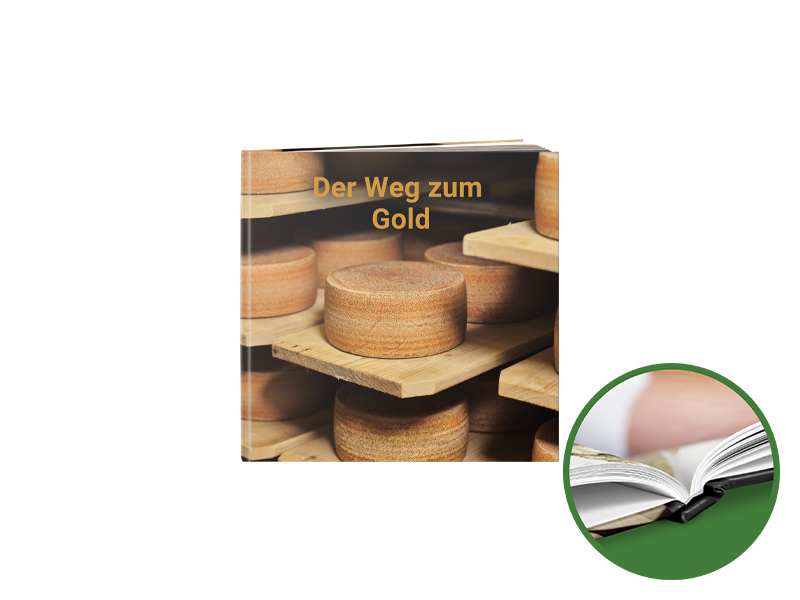 PRODUCT_GALLERY_IMAGE_ALT