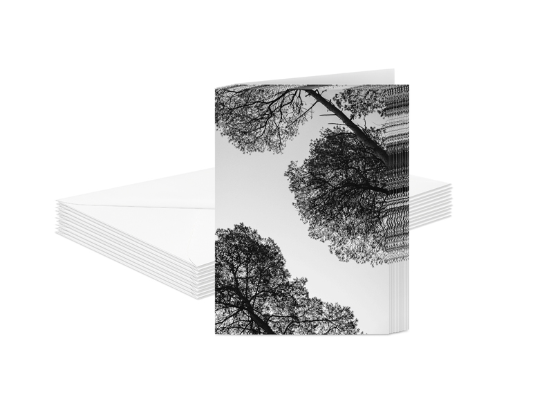 PRODUCT_GALLERY_IMAGE_ALT