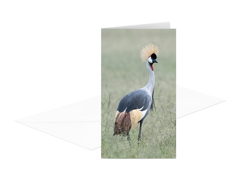 PRODUCT_GALLERY_IMAGE_ALT