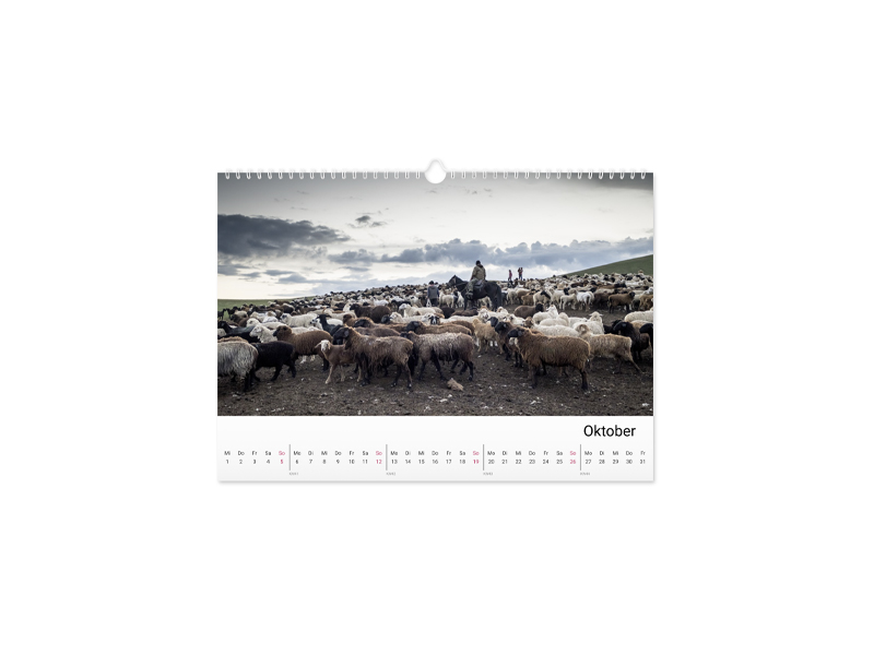 PRODUCT_GALLERY_IMAGE_ALT