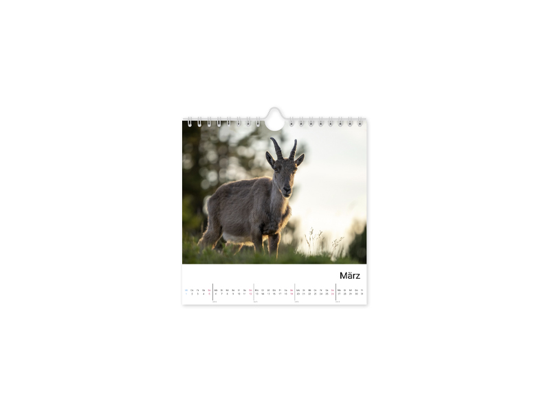 PRODUCT_GALLERY_IMAGE_ALT
