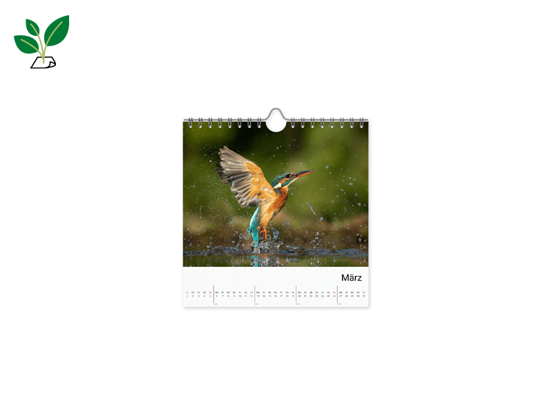 PRODUCT_GALLERY_IMAGE_ALT