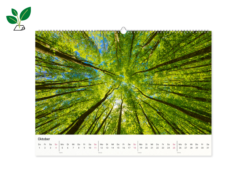 PRODUCT_GALLERY_IMAGE_ALT