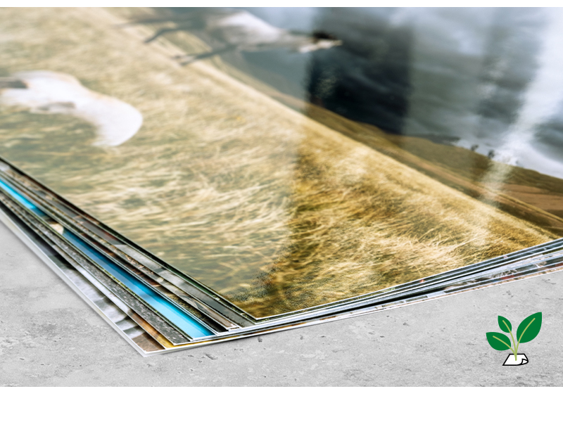 PRODUCT_GALLERY_IMAGE_ALT