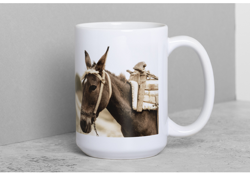PRODUCT_GALLERY_IMAGE_ALT