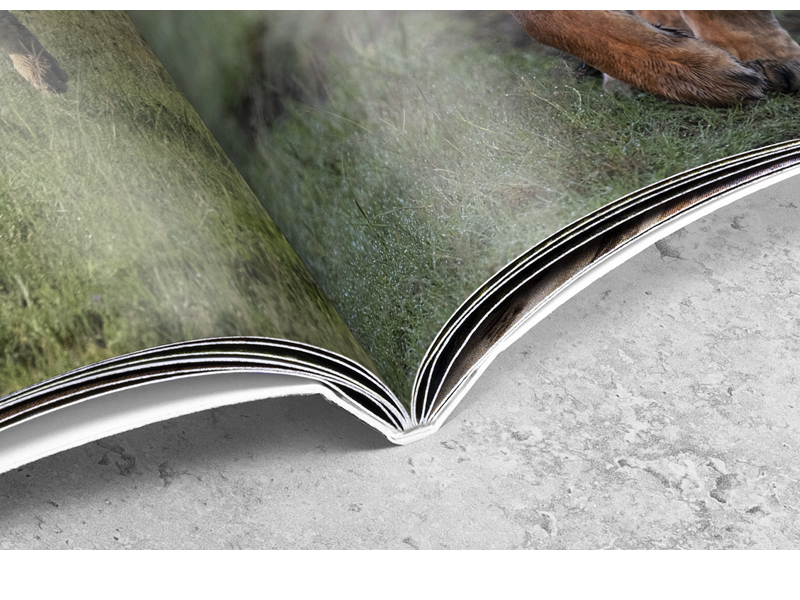 PRODUCT_GALLERY_IMAGE_ALT