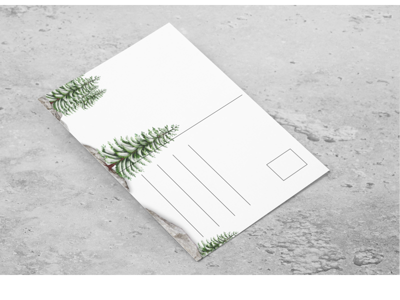 PRODUCT_GALLERY_IMAGE_ALT