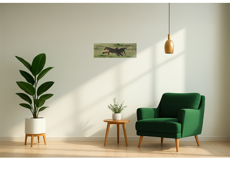 PRODUCT_GALLERY_IMAGE_ALT