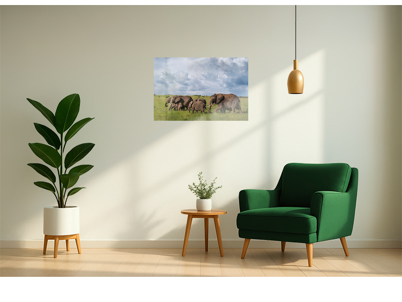 PRODUCT_GALLERY_IMAGE_ALT