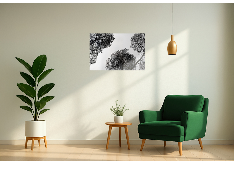 PRODUCT_GALLERY_IMAGE_ALT